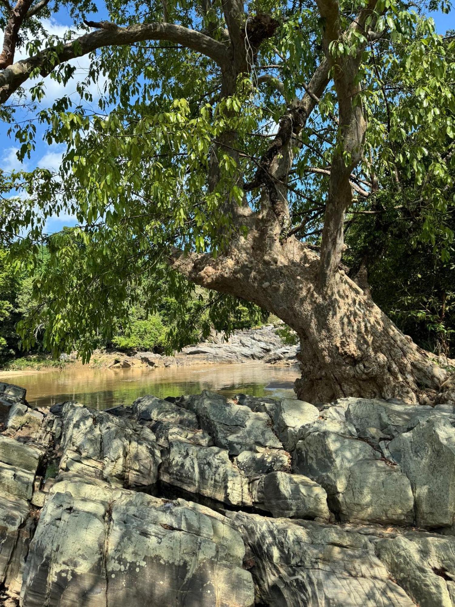 Ancient Gardens Villa Pinnawala  Luaran gambar