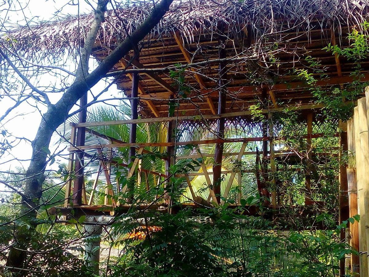 Ancient Gardens Villa Pinnawala  Luaran gambar