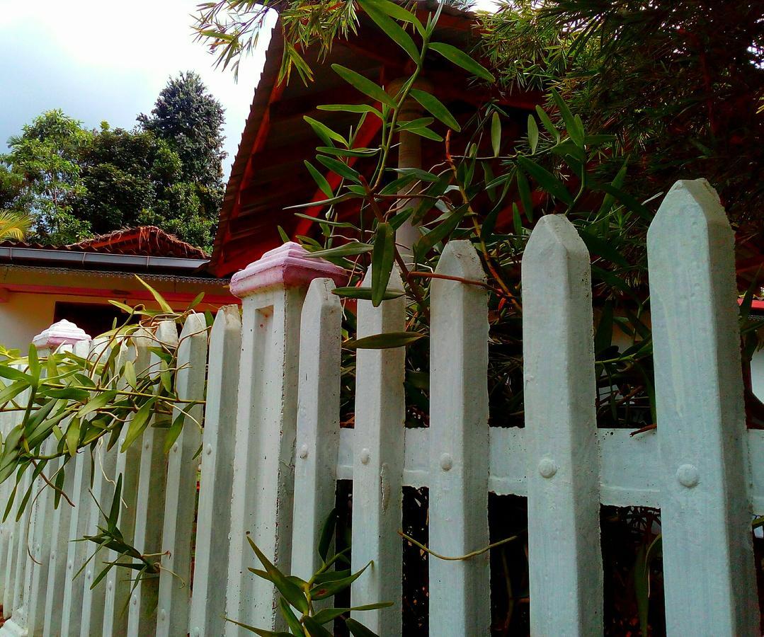Ancient Gardens Villa Pinnawala  Luaran gambar